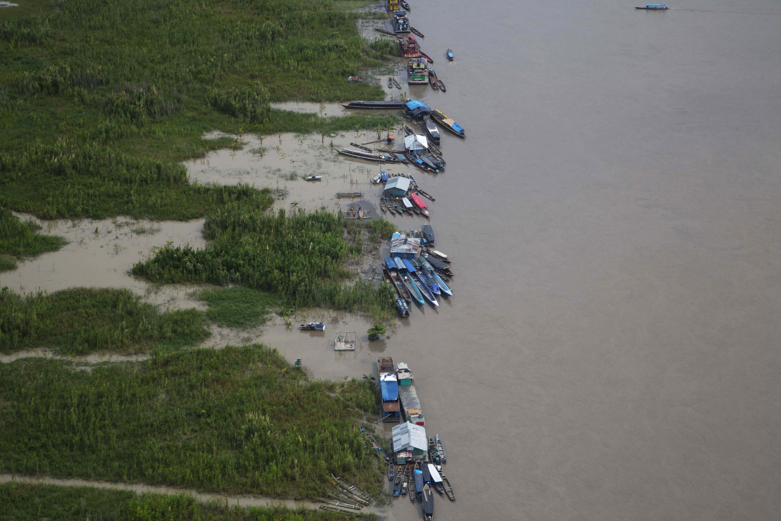 Peru Illegal Logging Photo Gallery