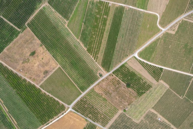 Κ. Γκούμας: Η Θεσσαλία χρειάζεται άμεσα σχέδιο για το νερό – Η λειψυδρία δεν αφήνει περιθώρια για καθυστερήσεις