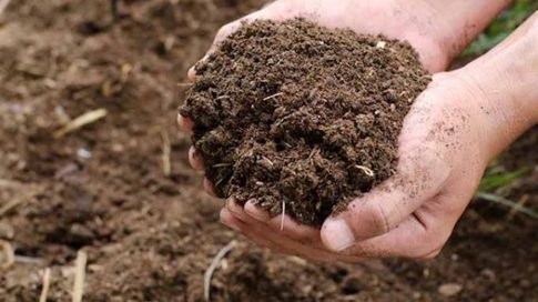 Η κοινωνία της Μαγνησίας αποχαιρετά τον Μιχάλη Βλαχάκη