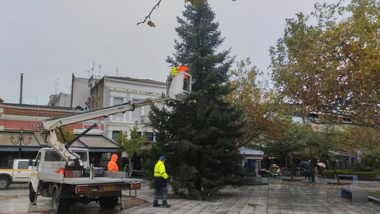 Πύργος: Τοποθετήθηκε το Χριστουγεννιάτικο δένδρο