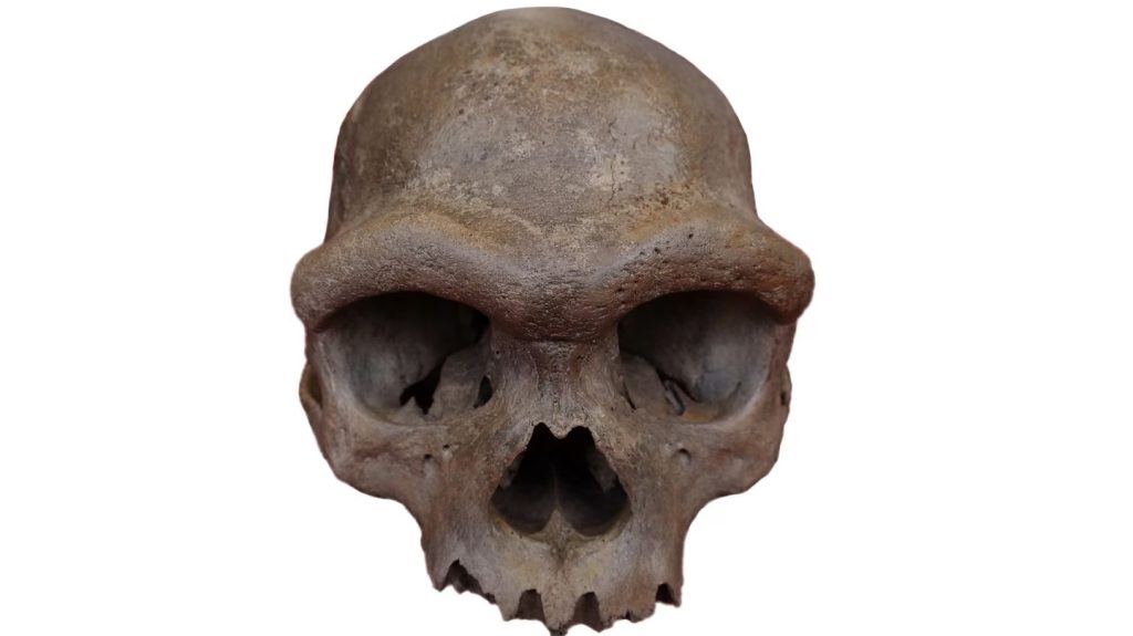 Άνθρωπος Δράκος: Η χρονιά που ένα από τα μεγαλύτερα μυστήρια απέκτησε πρόσωπο