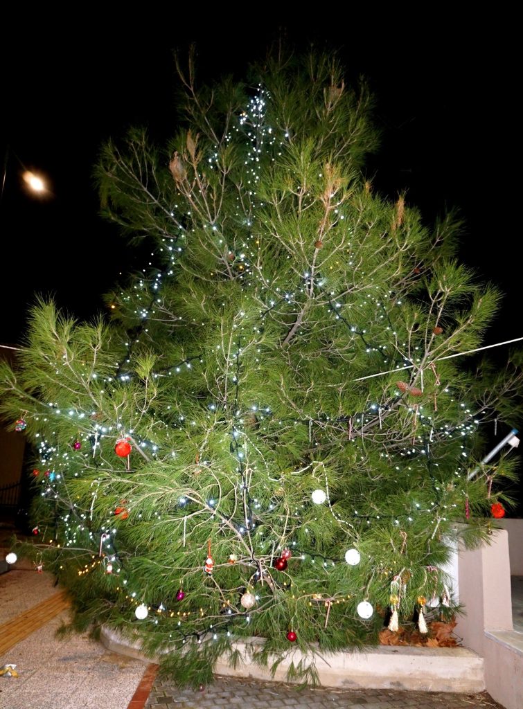 Δήμος Κομοτηνής: Το πρόγραμμα φωταγώγησης των Χριστουγεννιάτικων δέντρων σε 10 οικισμούς