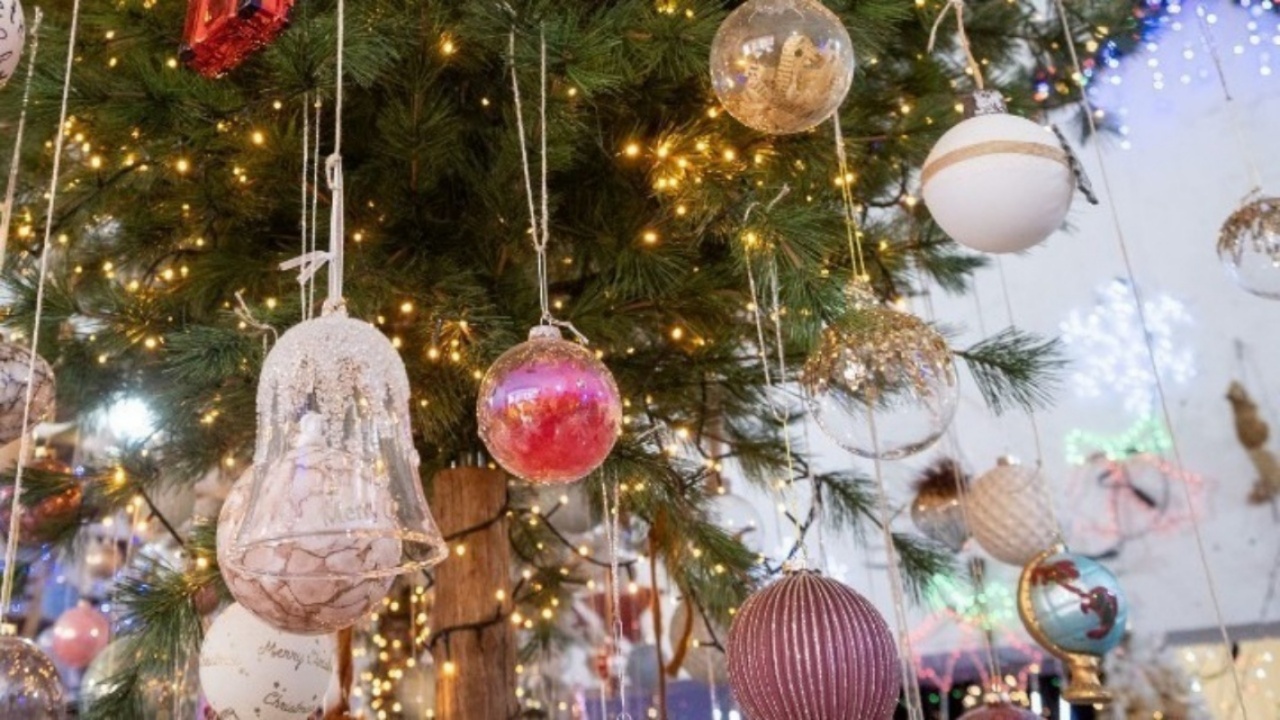 Θεσσαλονίκη- Δέντρο της Ελπίδας”: Εβδομήντα αστέρια για κάθε δότη οργάνων κατά τα έτη 2022-2025