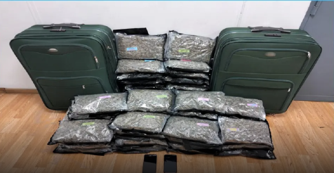 Ένθετο Γεωργία: <strong>Φόβοι για μείωση της αγοράς κρασιού στη Σαντορίνη λόγω σεισμών </strong>