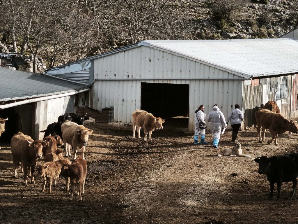 Έκτακτοι έλεγχοι του ΟΠΕΚΕΠΕ στους Λιγκιάδες Ιωαννίνων – «Φύλλο και φτερό» οκτώ κτηνοτροφικές μονάδες