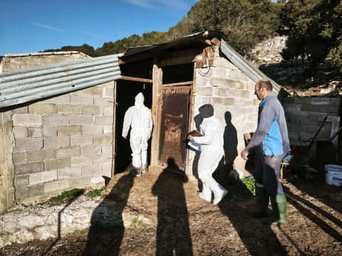 <strong>Λειτουργία Τελωνείου και στους Δρυμάδες Πωγωνίου</strong>