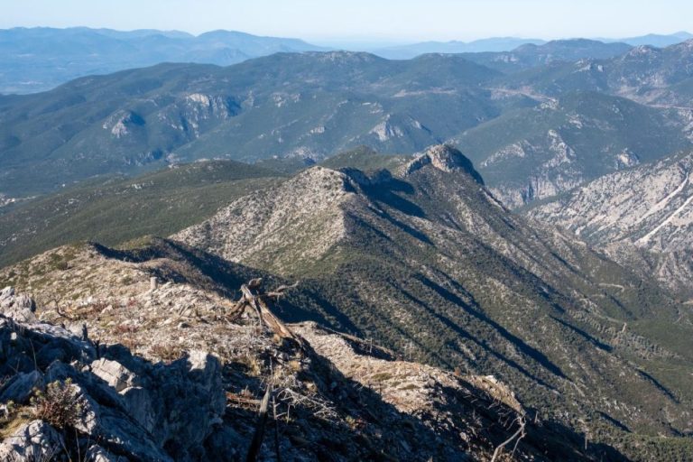 Πεζοπορία ΕΟΣ Καλαμάτας στην κορυφογραμμή Πελενίτσα Ταϋγέτου