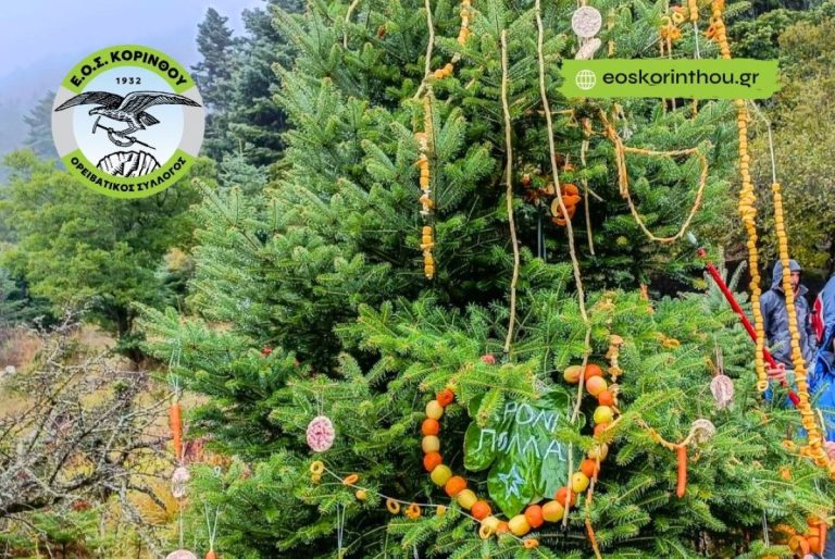 Στολισμός Χριστουγεννιάτικου Δέντρου του ΕΟΣ Κορίνθου