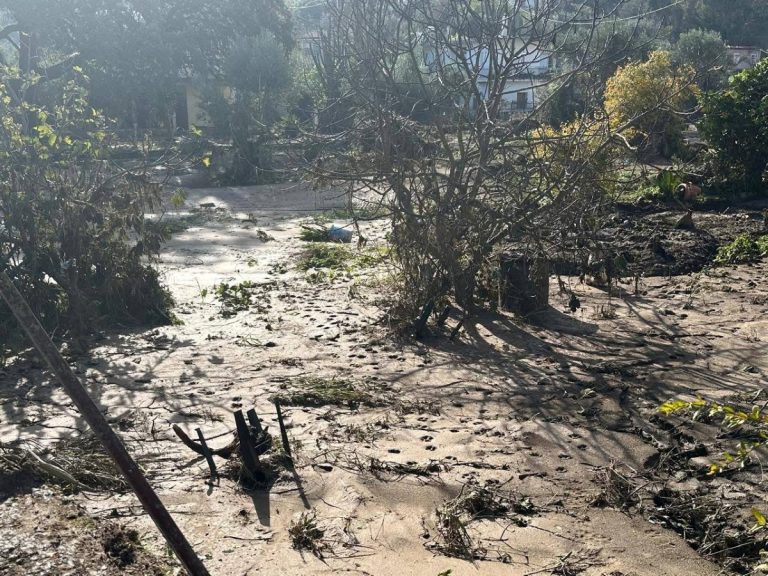 Αυτοψία του Κώστα Κατσαφάδου στους πληγέντες δήμους της Λακωνίας