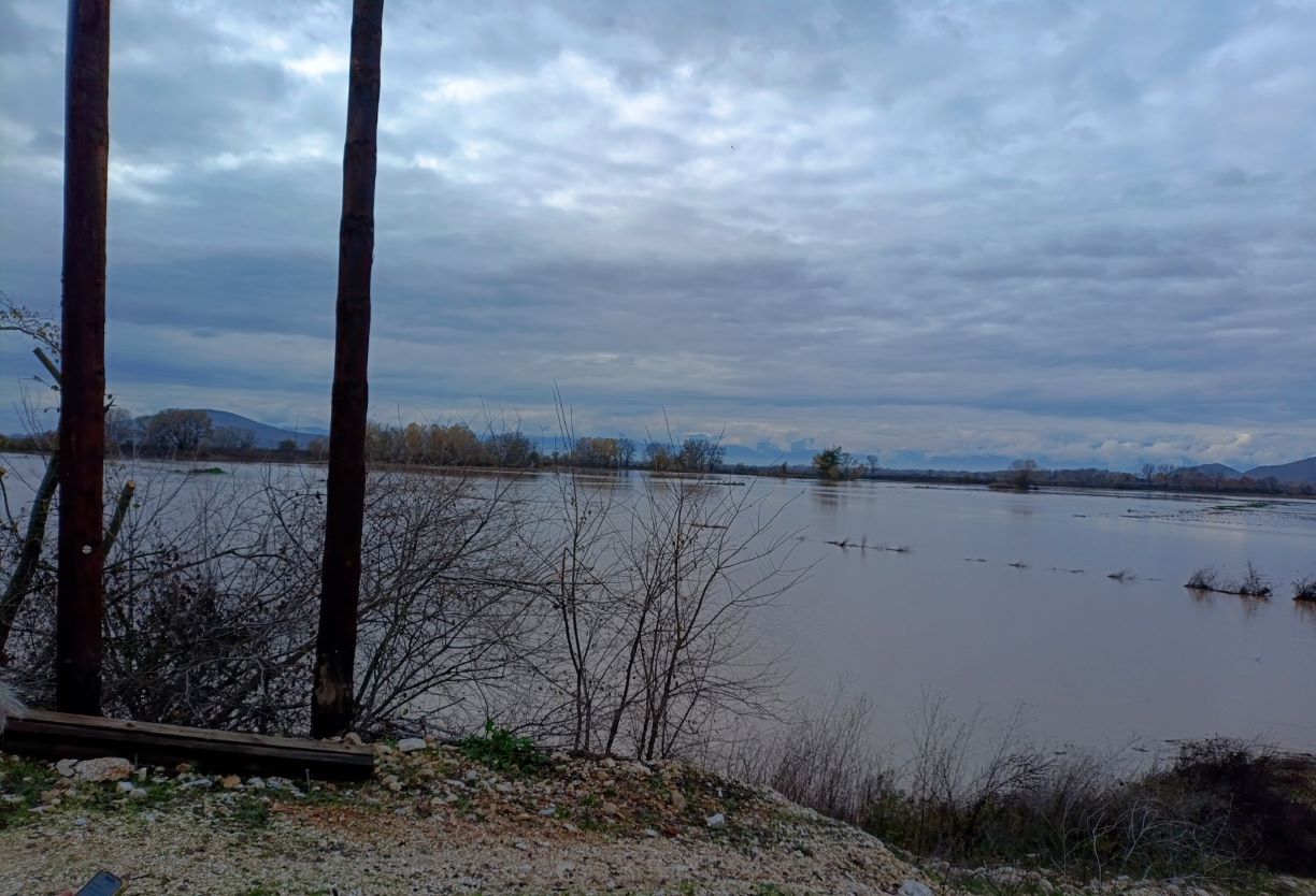 Χιλιάδες στρέμματα καλλιεργειών καλύφθηκαν από την υπερχείλιση του Πηνειού ποταμού σε Τρίκαλα και Λάρισα