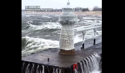 Αλιγάτορας σταμάτησε τις πτήσεις σε αεροπορική βάση των ΗΠΑ – Δείτε το εντυπωσιακό βίντεο από την επιχείρηση για την απομάκρυνσή του