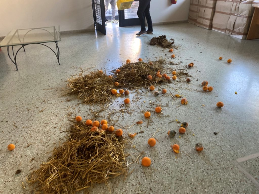 Περιφερειακό Συμβούλιο Πελοποννήσου: Δεν αποδέχτηκε η πλειοψηφία το κείμενο αιτημάτων των παραγωγών