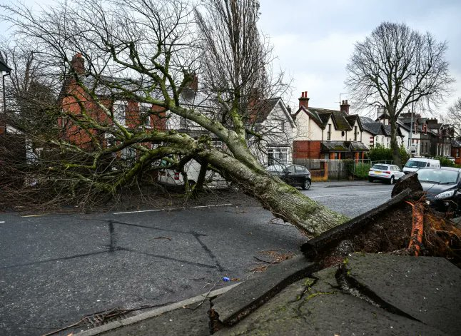 Σουηδία-Φινλανδία: Δύο νεκροί από την καταιγίδα Γιοχάνες – Χιλιάδες νοικοκυριά χωρίς ηλεκτρικό