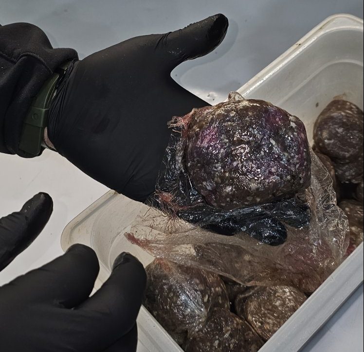 Κατασχέθηκαν 12 τόνοι ακατάλληλων προϊόντων στην Αττική: Χαλασμένα μπιφτέκια, βρόμικους πάγκους και άθλιες συνθήκες υγιεινής εντόπισαν έλεγχοι της Περιφέρειας - ertnews.gr