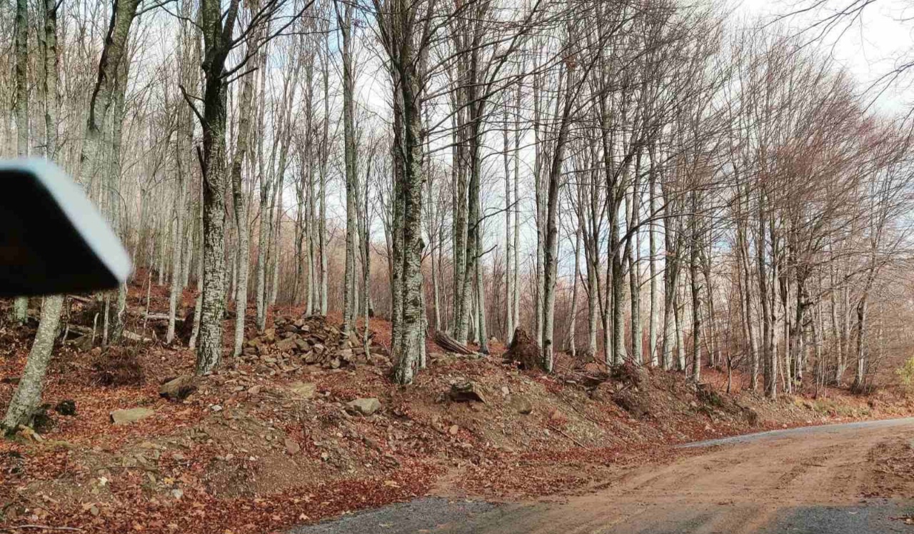 image8 Έλεγχοι της Αντιπεριφέρειας Μαγνησίας στο οδικό δίκτυο μετά την κακοκαιρία «Byron»