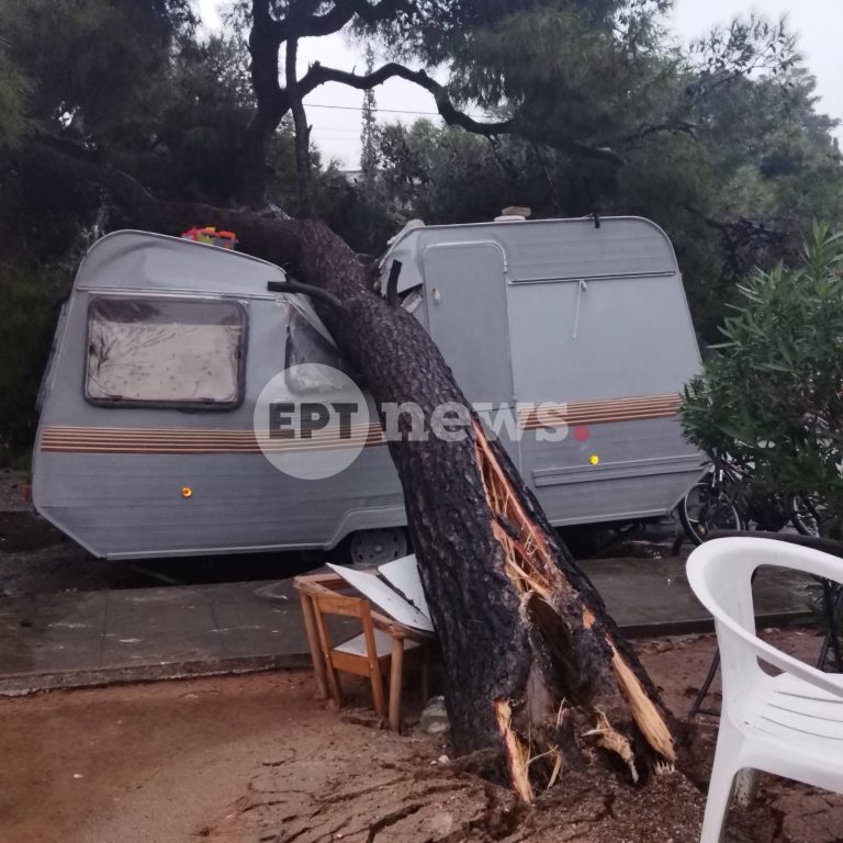 Αποκλειστικές εικόνες: Κορμός πεύκου καταπλάκωσε τροχόσπιτο της 5μελούς οικογένειας στη Γλυφάδα