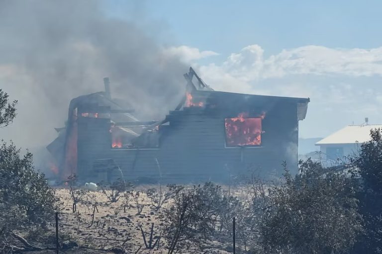 Αυστραλία: Καταστροφικές πυρκαγιές και καύσωνας πλήττουν τη Ν. Ν. Ουαλία