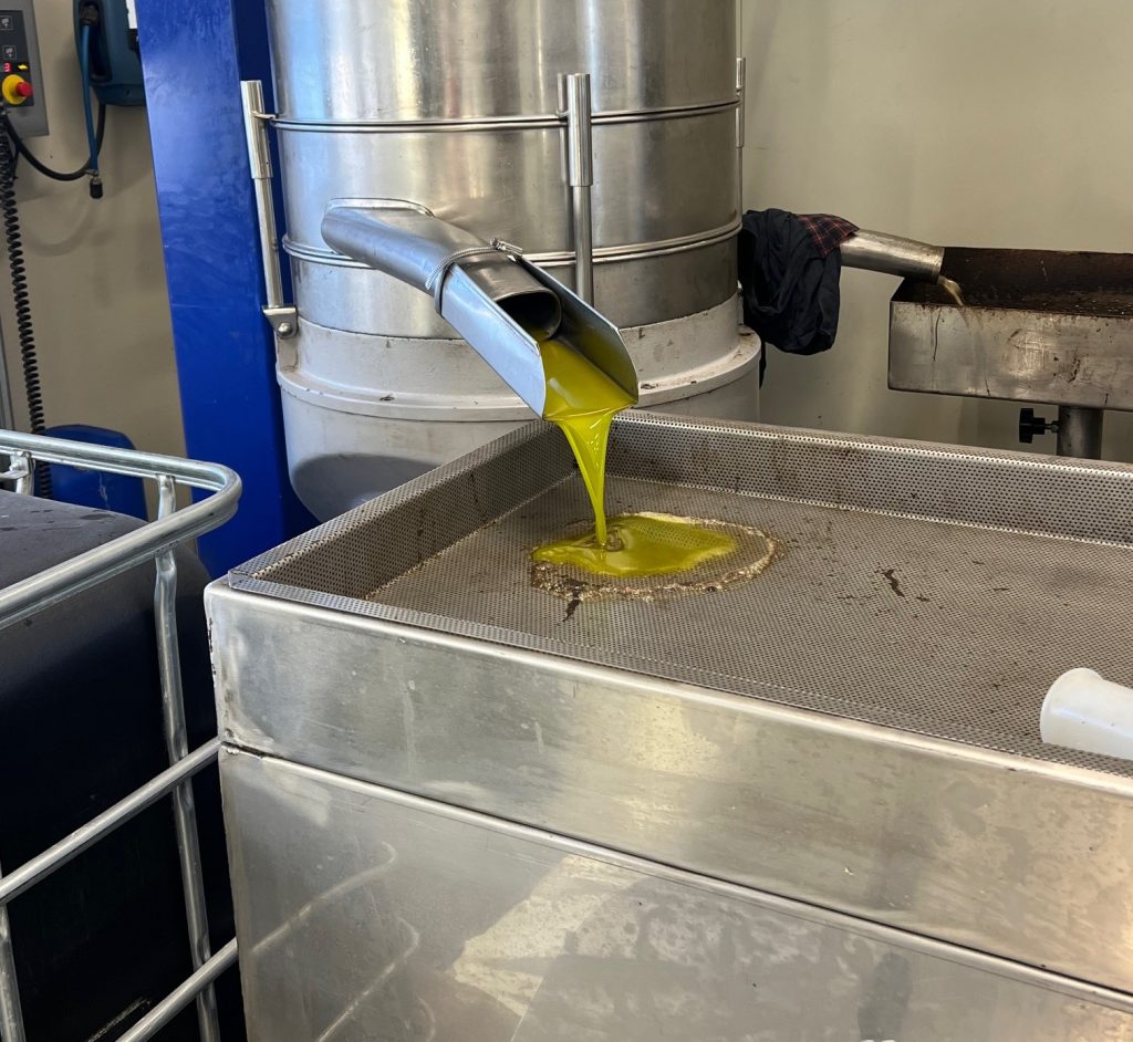 Γ. Κόκκινος: Ο διάλογος για το μέλλον του αγροδιατροφικού τομέα έπρεπε να έχει ξεκινήσει πολύ πριν- «Ερασιτεχνική» και «από απόσταση» ελαιοκομία δεν αντέχει