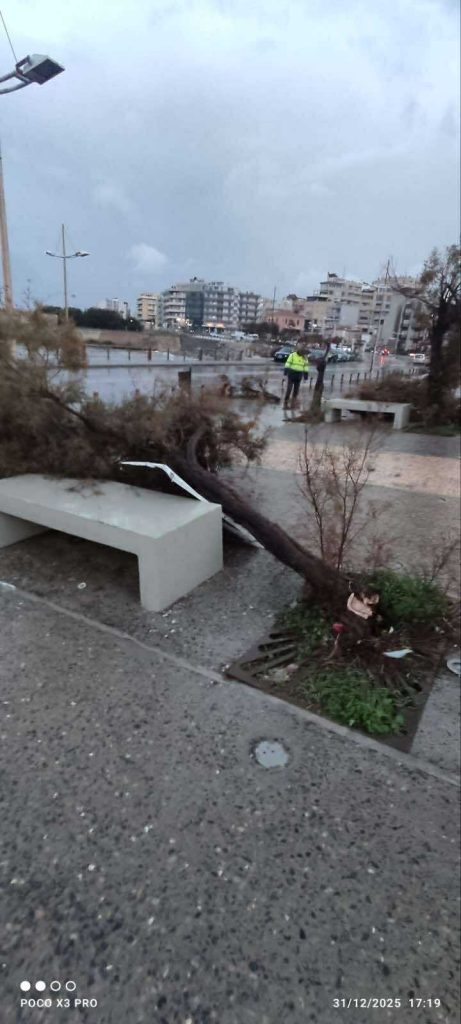 Ηράκλειο: Πτώσεις δέντρων από ολιγόλεπτη καταιγίδα
