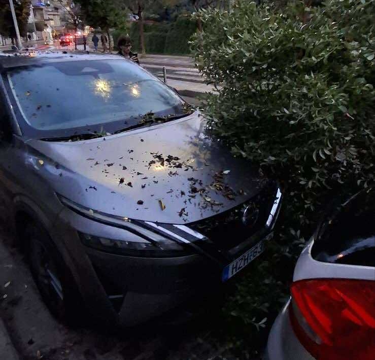 Ηράκλειο: Πτώσεις δέντρων από ολιγόλεπτη καταιγίδα