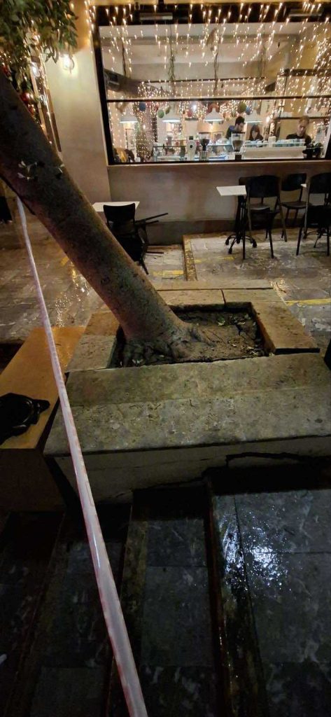 Ηράκλειο: Πτώσεις δέντρων από ολιγόλεπτη καταιγίδα