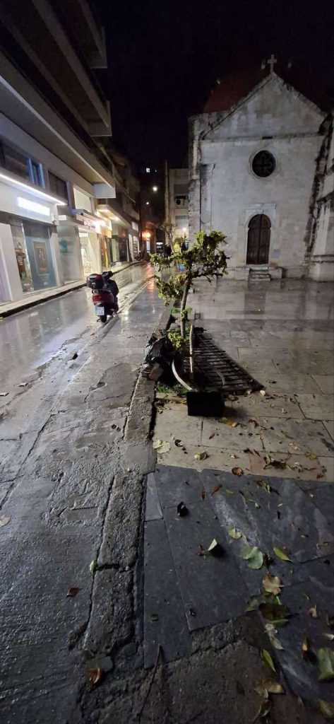 Ηράκλειο: Πτώσεις δέντρων από ολιγόλεπτη καταιγίδα