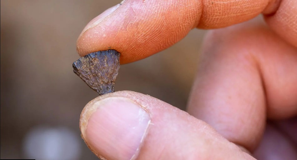 Ανακάλυψη ανατρέπει όσα πιστεύαμε μέχρι σήμερα για τη φωτιά