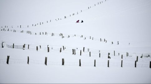 Μυτιλήνη: Δράσεις αγάπης για ζώα και περιβάλλον στο χριστουγεννιάτικο χωριό