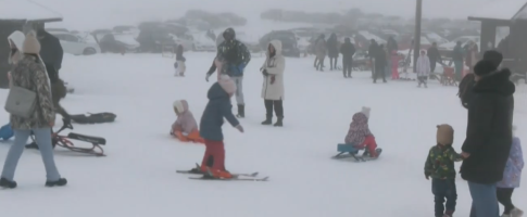 <strong>Νέα Τεχνική Έκθεση της EFSA για την Επιτήρηση Φυτικών Παρασίτων</strong>