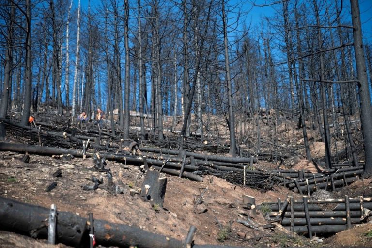 Αντιπλημμυρικά και αντιδιαβρωτικά έργα σε Στυμφαλία και Φενεό Κορινθίας