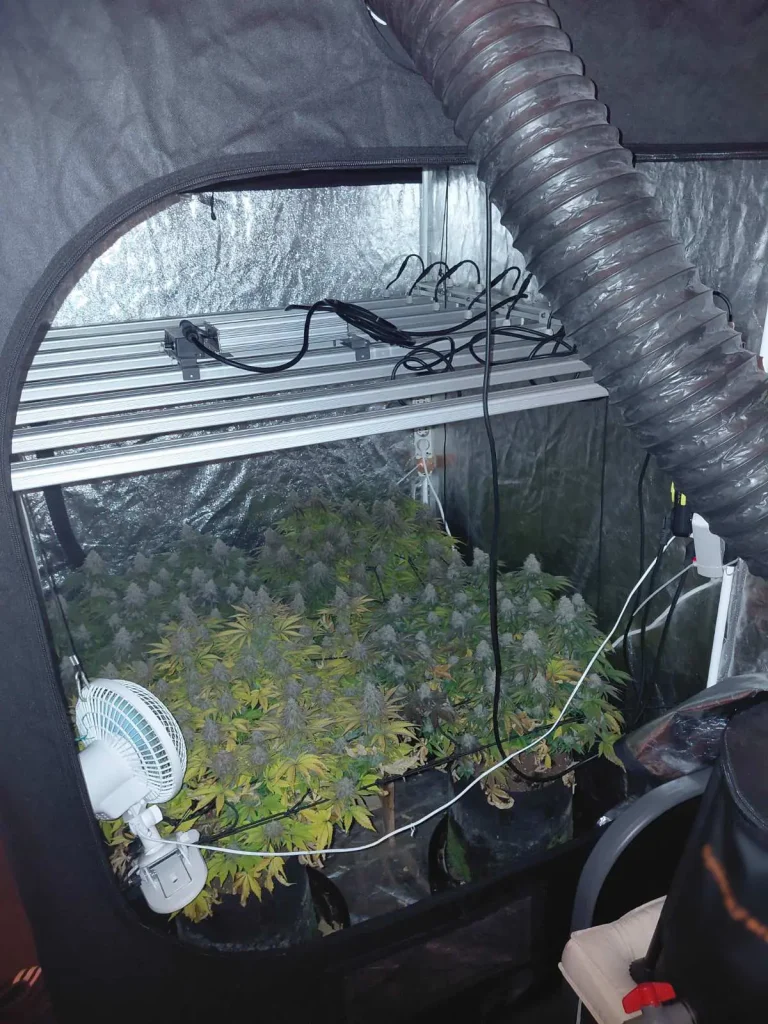 Συνελήφθησαν 3 άτομα για διακίνηση ναρκωτικών – Ανάμεσά τους ένας Υπαρχιπυροσβέστης