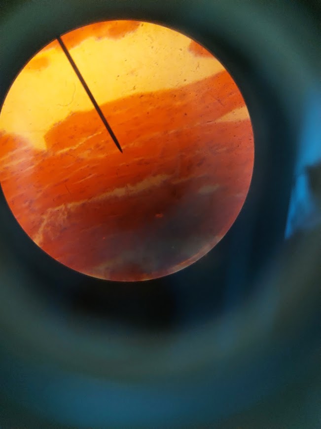 Μαθητές από το 1ο ΓΕΛ Κω, στον πανελλήνιο διαγωνισμό για την Ευρωπαϊκή Ολυμπιάδα Πειραμάτων Επιστημών