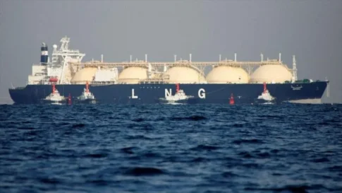Μεσσηνία: Πρώτο κρούσμα ευλογιάς αιγοπροβάτων στο Δεσύλλα – Θανατώθηκαν 220 πρόβατα
