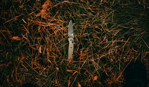 <strong>Ροδόπη: Μουσικές από τα ωδεία της πόλης ταξιδεύουν το κοινό της Κομοτηνής</strong>