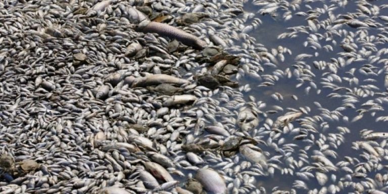 Ψηφίστηκε η διάταξη για το ακατάσχετο των ενισχύσεων της Περιφέρειας Θεσσαλίας προς επιχειρήσεις πέριξ του Παγασητικού