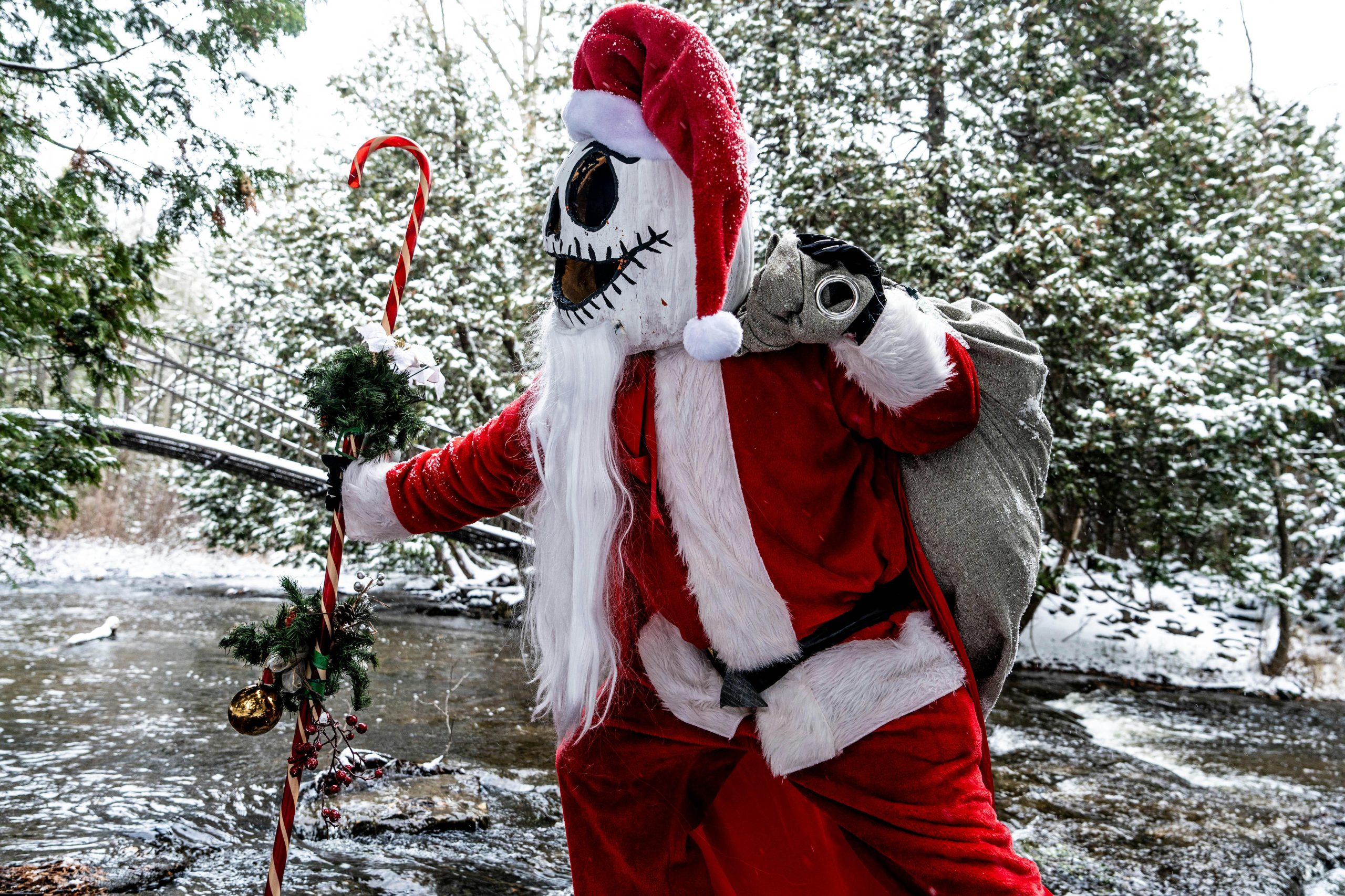 -gem-webb-428343-35027858