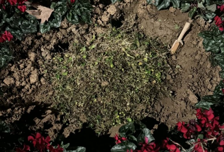 Θεσσαλονίκη: Ξήλωσαν και εξαφάνισαν τη μαρμάρινη πλάκα για τις κακοποιημένες γυναίκες από τη Νέα Παραλία – Μήνυση κατά αγνώστων