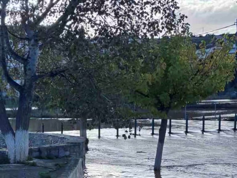 Έκδοση οδηγιών για αποζημιώσεις επιχειρήσεων στον δήμο Ερμιονίδας