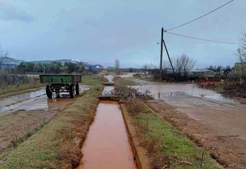 Επιπλέον 6 εκατ. € για αποζημιώσεις κτηνοτρόφων λόγω ευλογιάς σε Ξάνθη-Ροδόπη