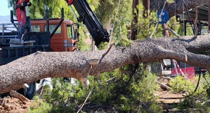 Θεσσαλονίκη: Οι θυελλώδεις άνεμοι την Κυριακή έριξαν 28 δέντρα και προκάλεσαν ζημιές σε ηλεκτροφόρα καλώδια στον Δήμο Θέρμης