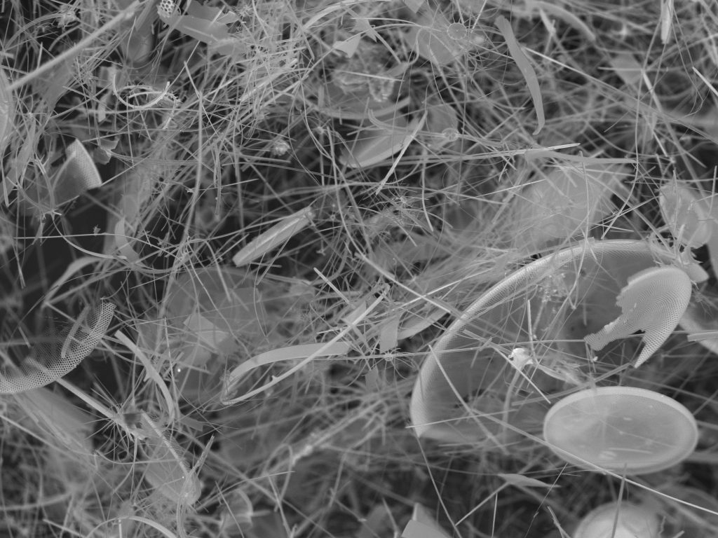 Έλληνες επιστήμονες αποκαλύπτουν το παρελθόν της Ερυθράς Θάλασσας υπό αντίξοες συνθήκες