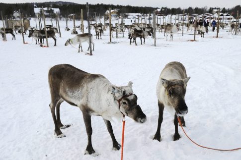 Κορονοϊός: Δωρεάν <br/> ψυχοκοινωνική υποστήριξη