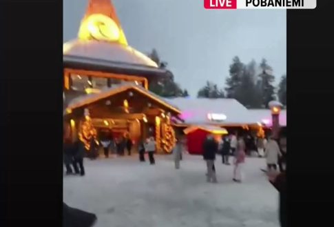 <strong>Νέα Τεχνική Έκθεση της EFSA για την Επιτήρηση Φυτικών Παρασίτων</strong>