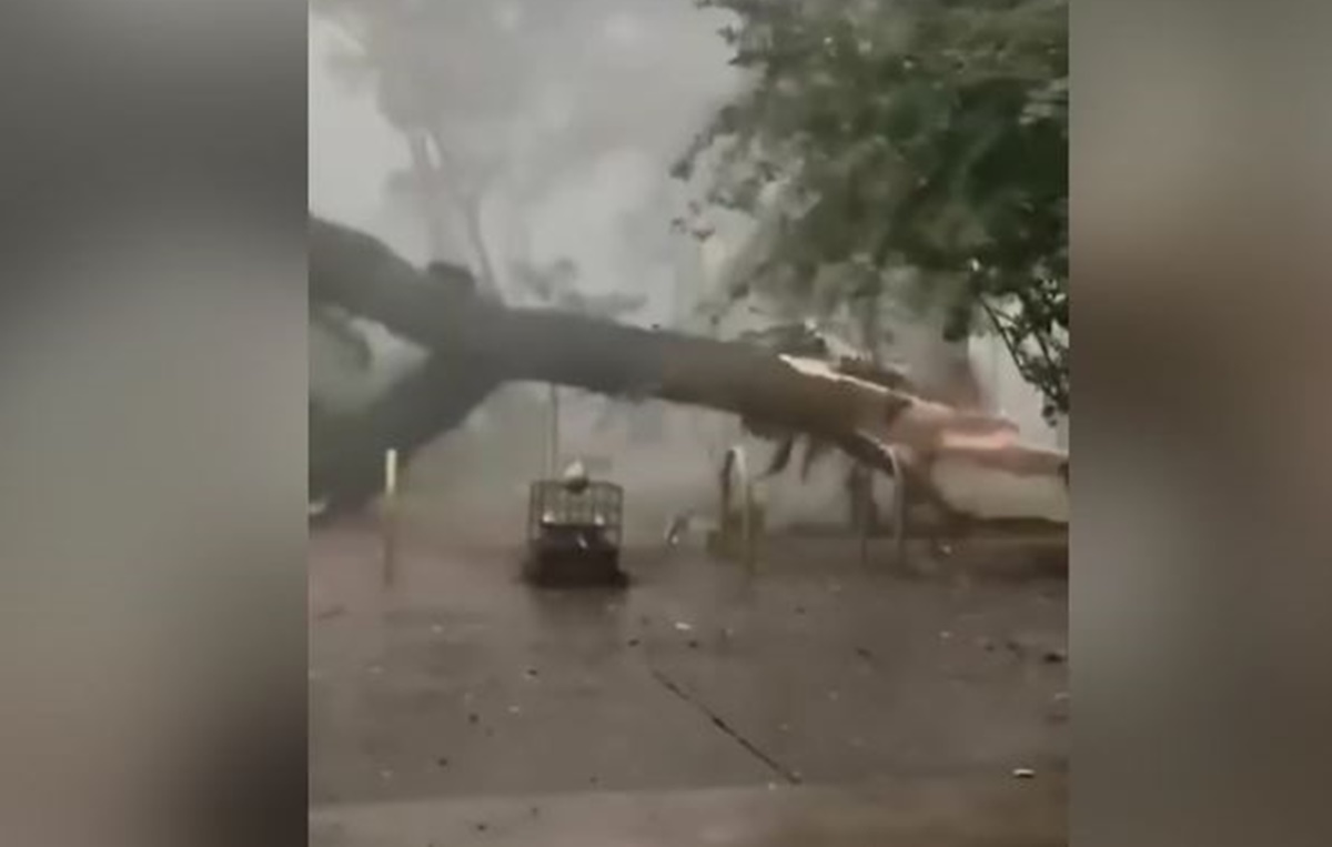 Ισχυρός κυκλώνας έπληξε το Σάο Πάολο – Ξεπέρασαν τα 90 χλμ. οι άνεμοι