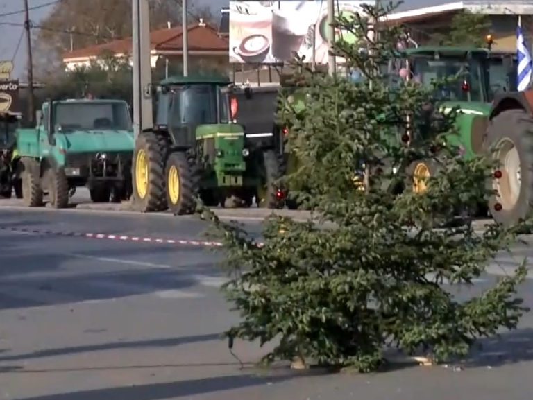 Θεσσαλονίκη: Για την αυριανή κινητοποίηση στο λιμάνι συντονίζονται οι αγρότες- Στόλισαν χριστουγεννιάτικο δέντρο στα «Πράσινα Φανάρια»