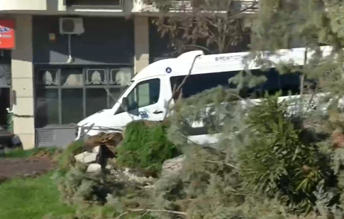 Με ένα εκδρομικό λεωφορείο και φίλους γιόρτασε τα γενέθλιά της η Χαρούλα Αλεξίου