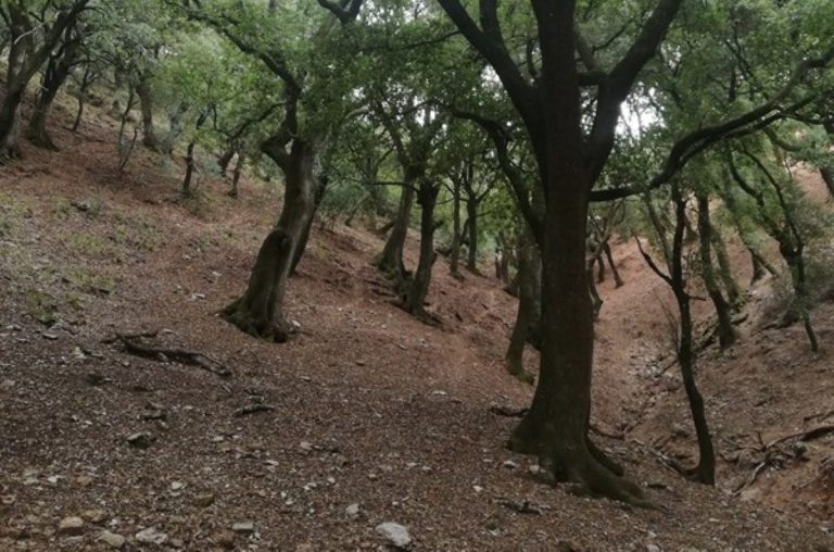 «Ο Ευκλής» θα επισκεφθεί τον Νομό Αχαΐας