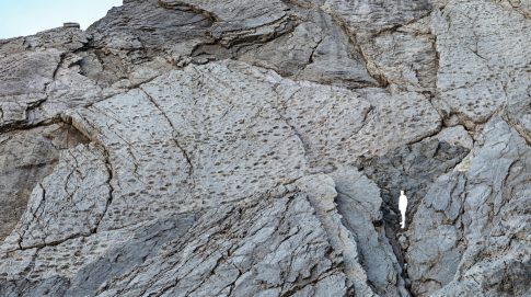 Αλ. Χαρίτσης: O προϋπολογισμός του 2026 είναι ο τελευταίος με τεχνητή αναπνοή – Στη συνέχεια η ανάπτυξη πάει στον πάτο