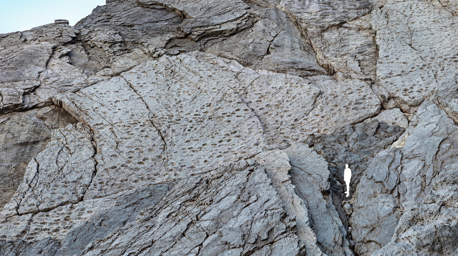 Ιταλία: Χιλιάδες αποτυπώματα δεινοσαύρων σε βράχους των Άλπεων κοντά σε χώρο των Χειμερινών Ολυμπιακών Αγώνων