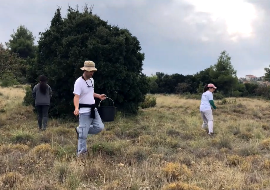 Οι οικολογικοί διάδρομοι ως μέσο προστασίας της άγριας ζωής – Το παράδειγμα του απομονωμένου πληθυσμού του κόκκινου ελαφιού στην Πάρνηθα